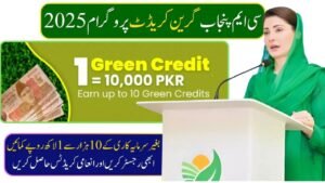 CM Punjab Green Credit Program 2025 Register Earn Rs 100000