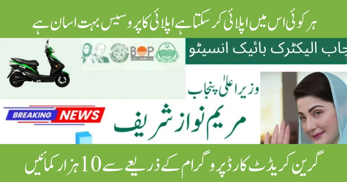 Punjab Electric Bike